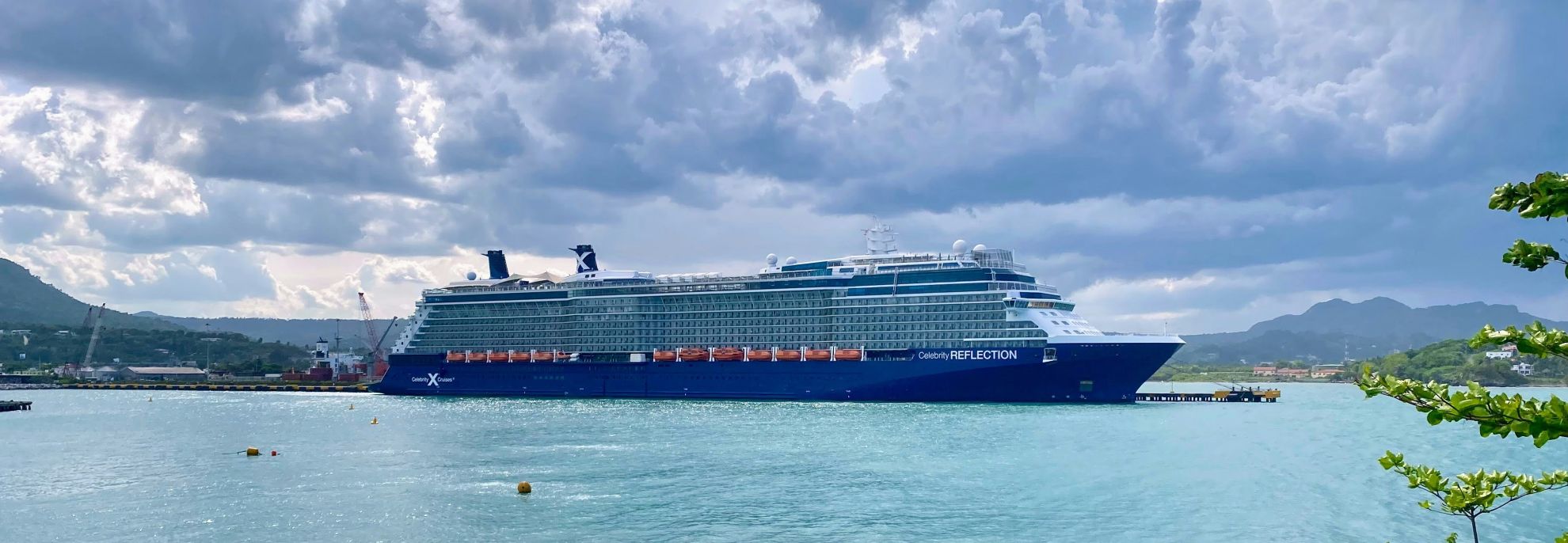 Celebrity Reflection